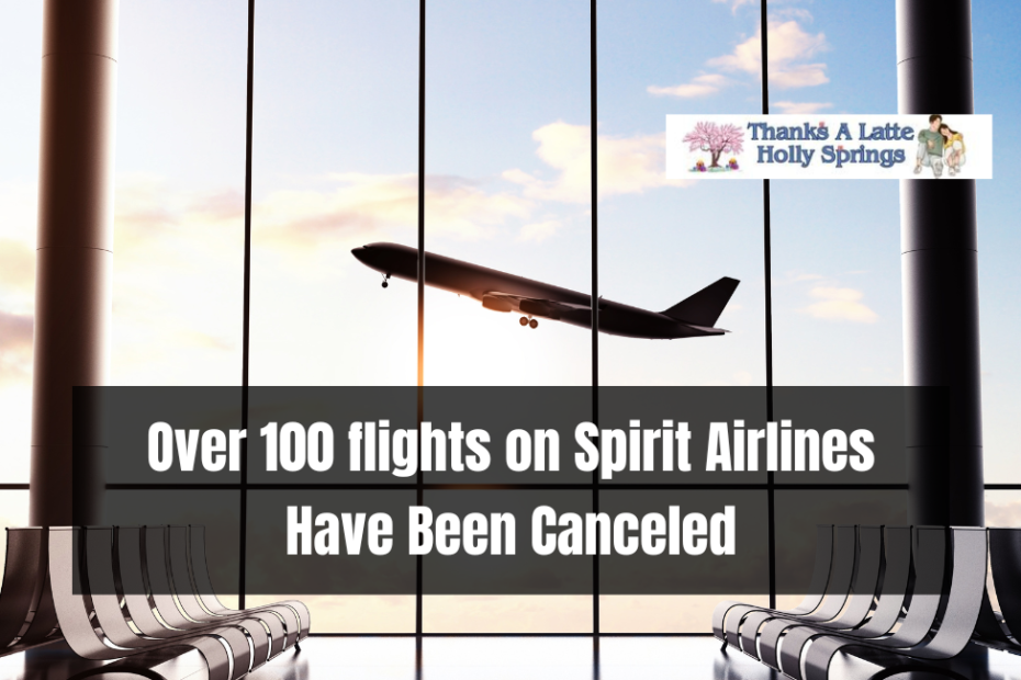 Over 100 flights on Spirit Airlines Have Been Canceled