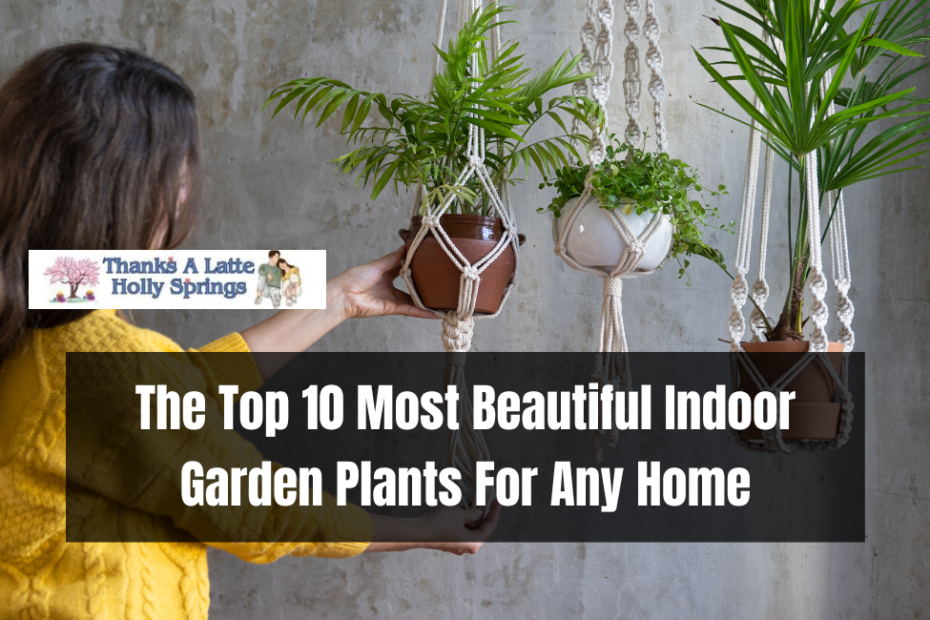 The Top 10 Most Beautiful Indoor Garden Plants For Any Home